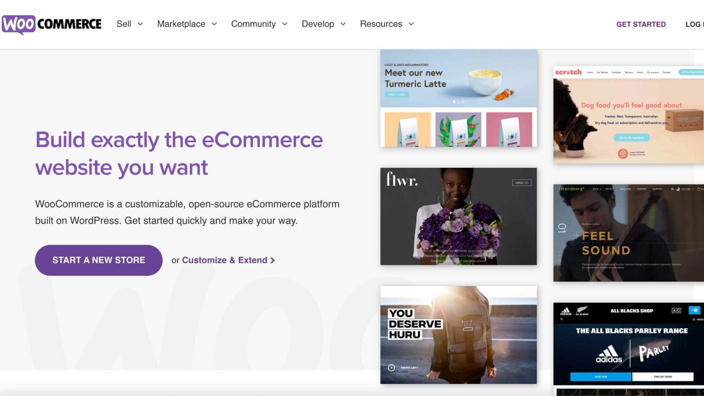 Woocommerce ecommerce platform