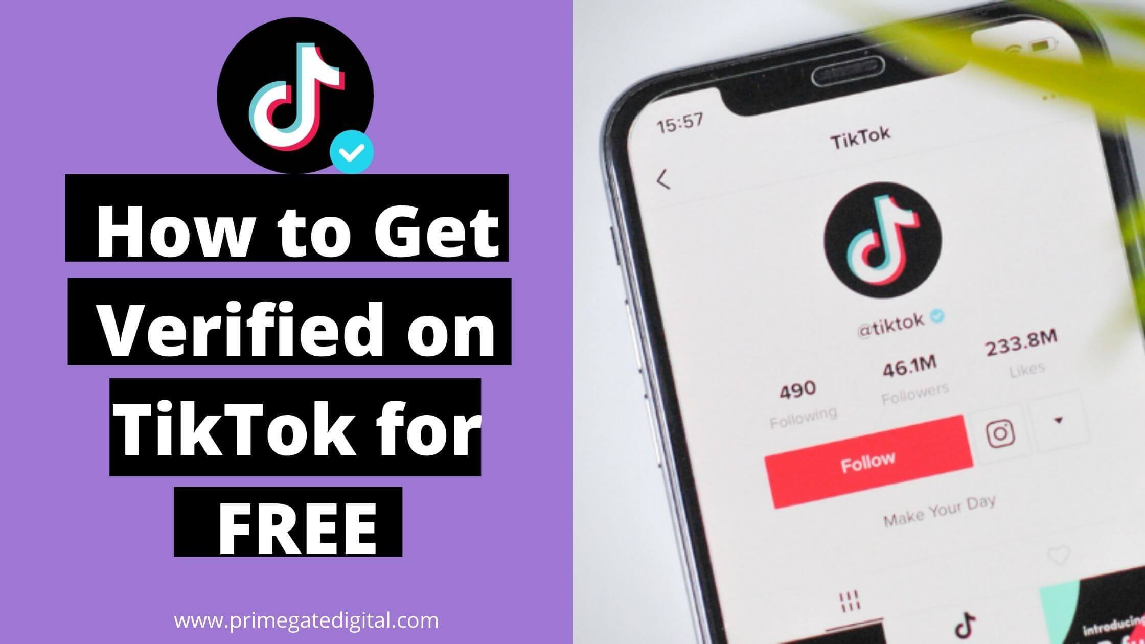 How to get verified on TikTok for free