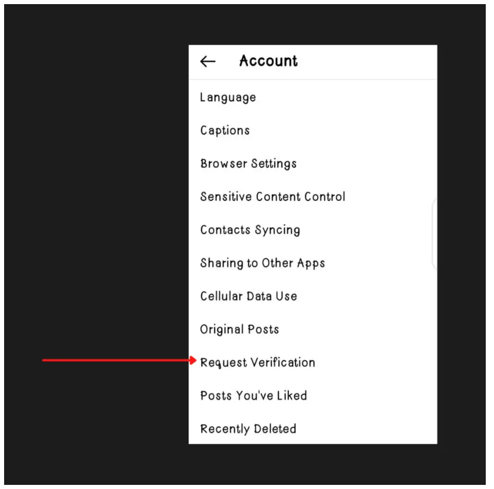 Request Instagram Verification Page