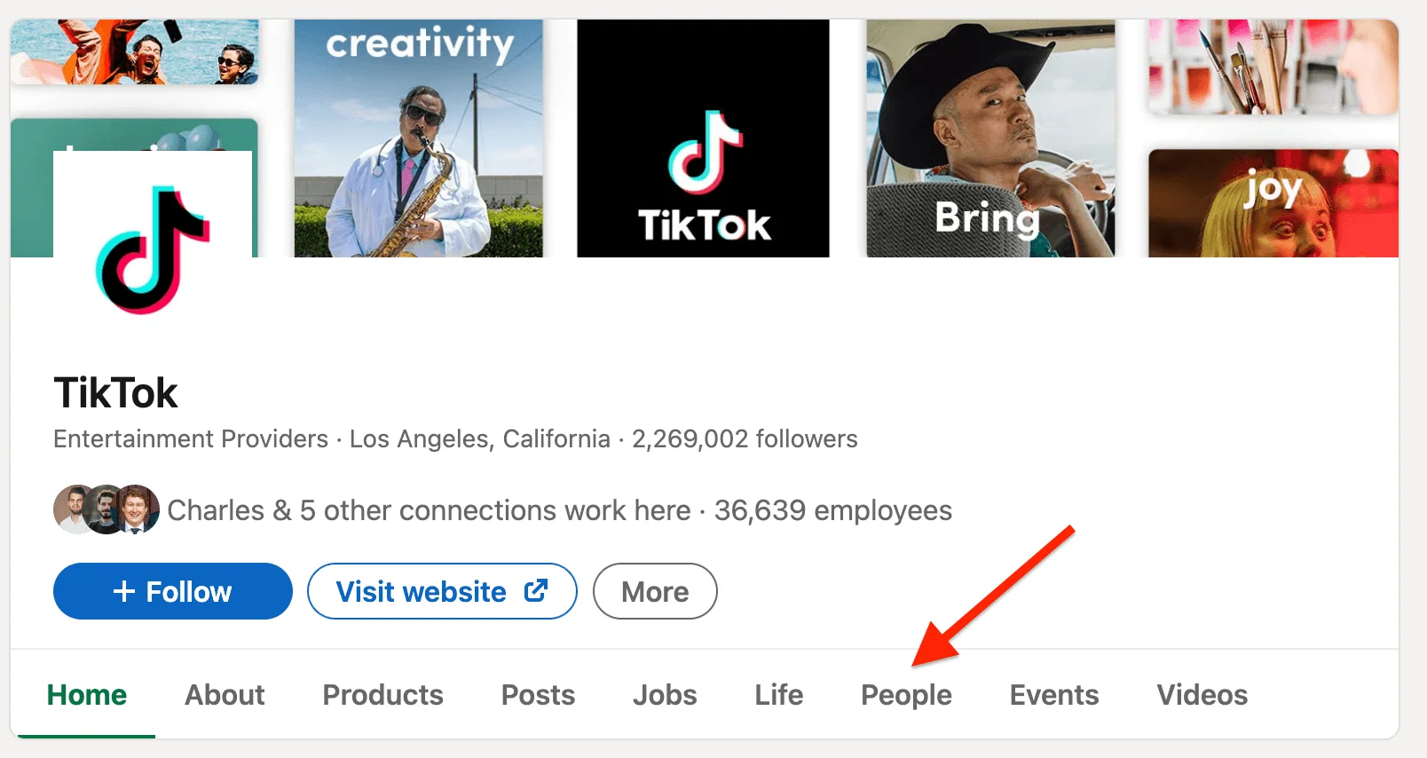 TikTok LinkedIn page