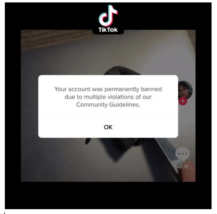 TikTok account ban notification