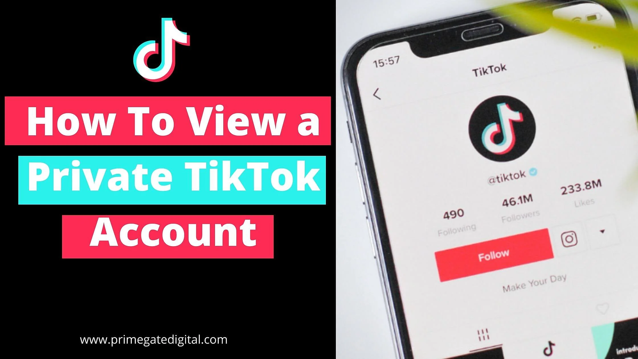 How to View a Private TikTok Account