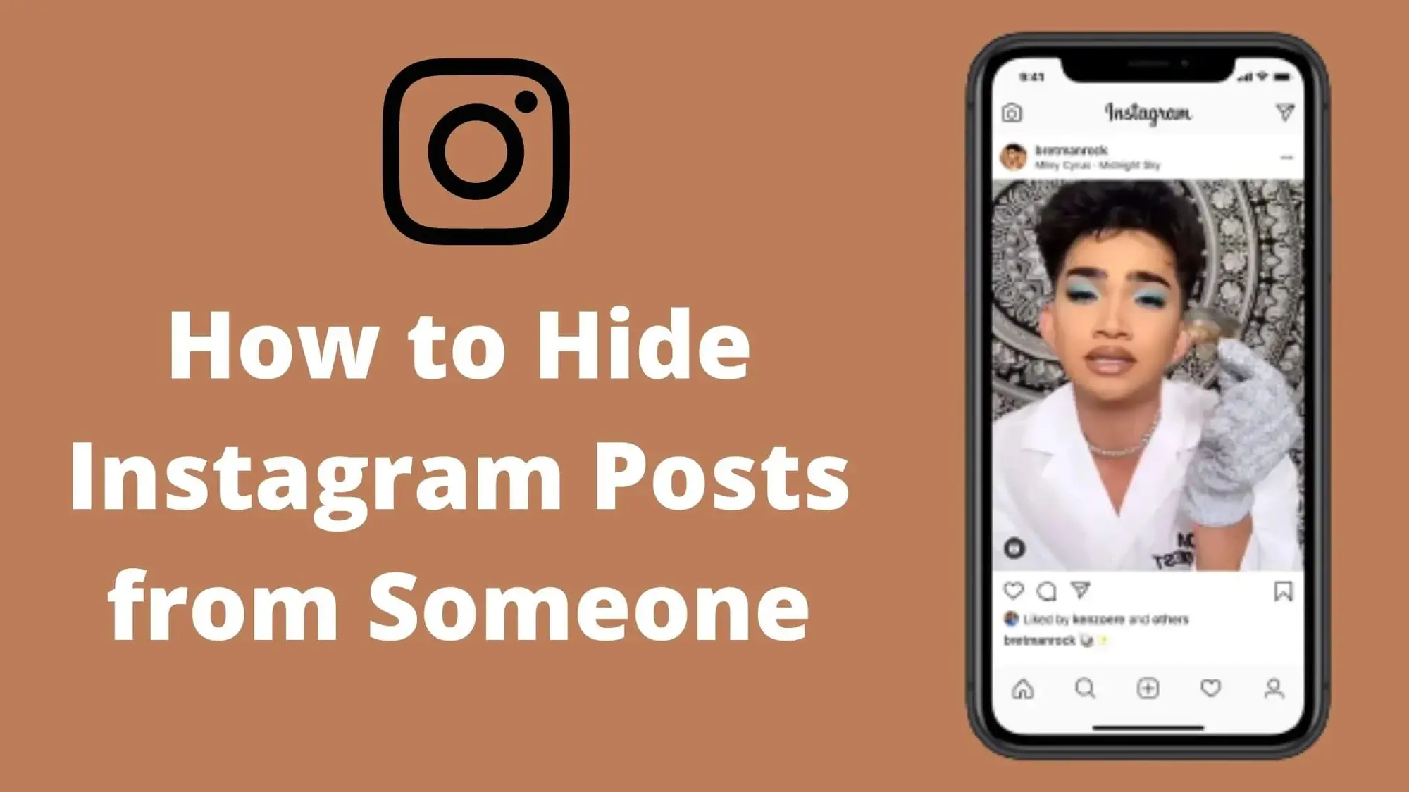 Hide Instagram Posts