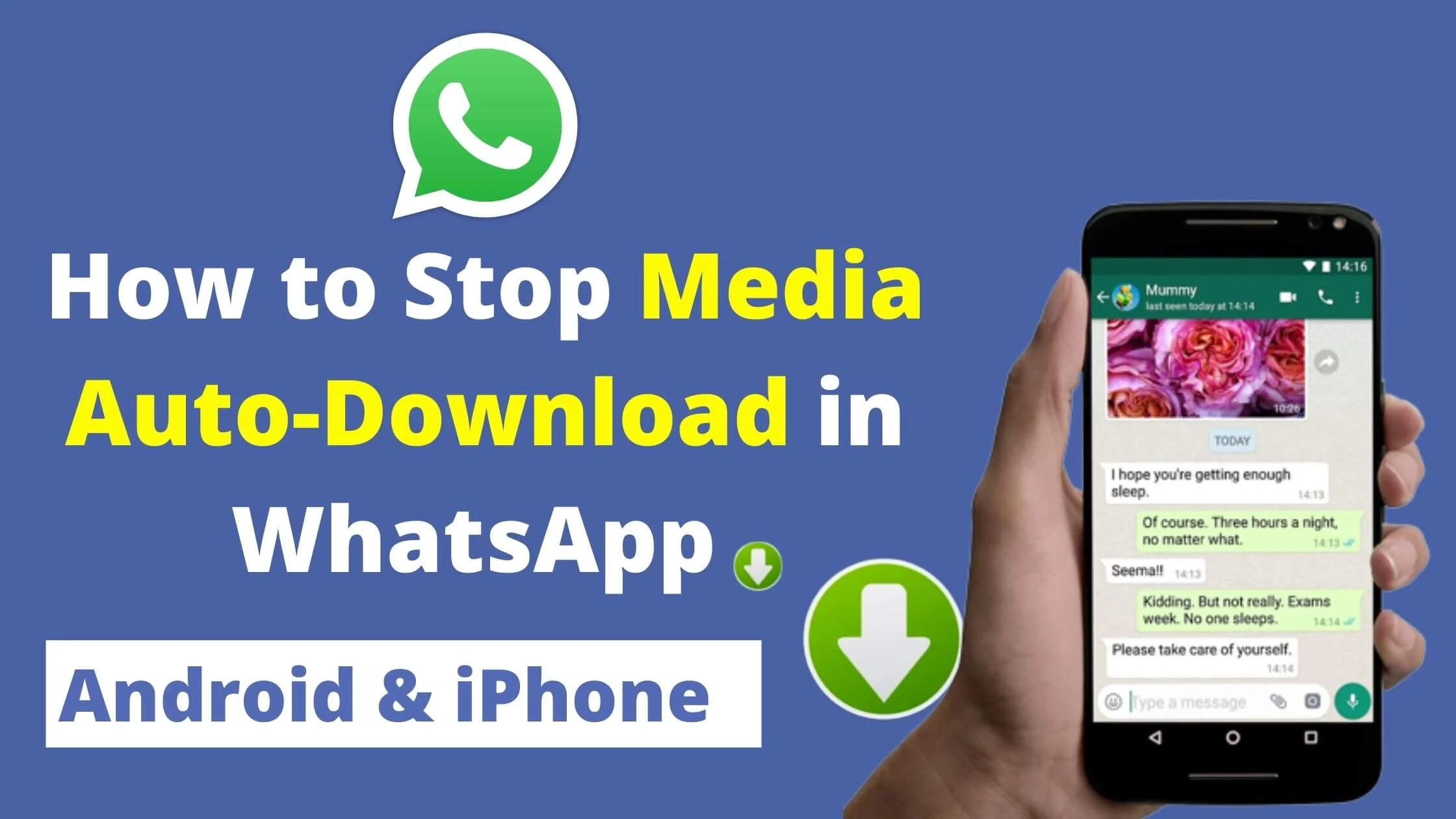 Stop Media Auto-Download in WhatsApp