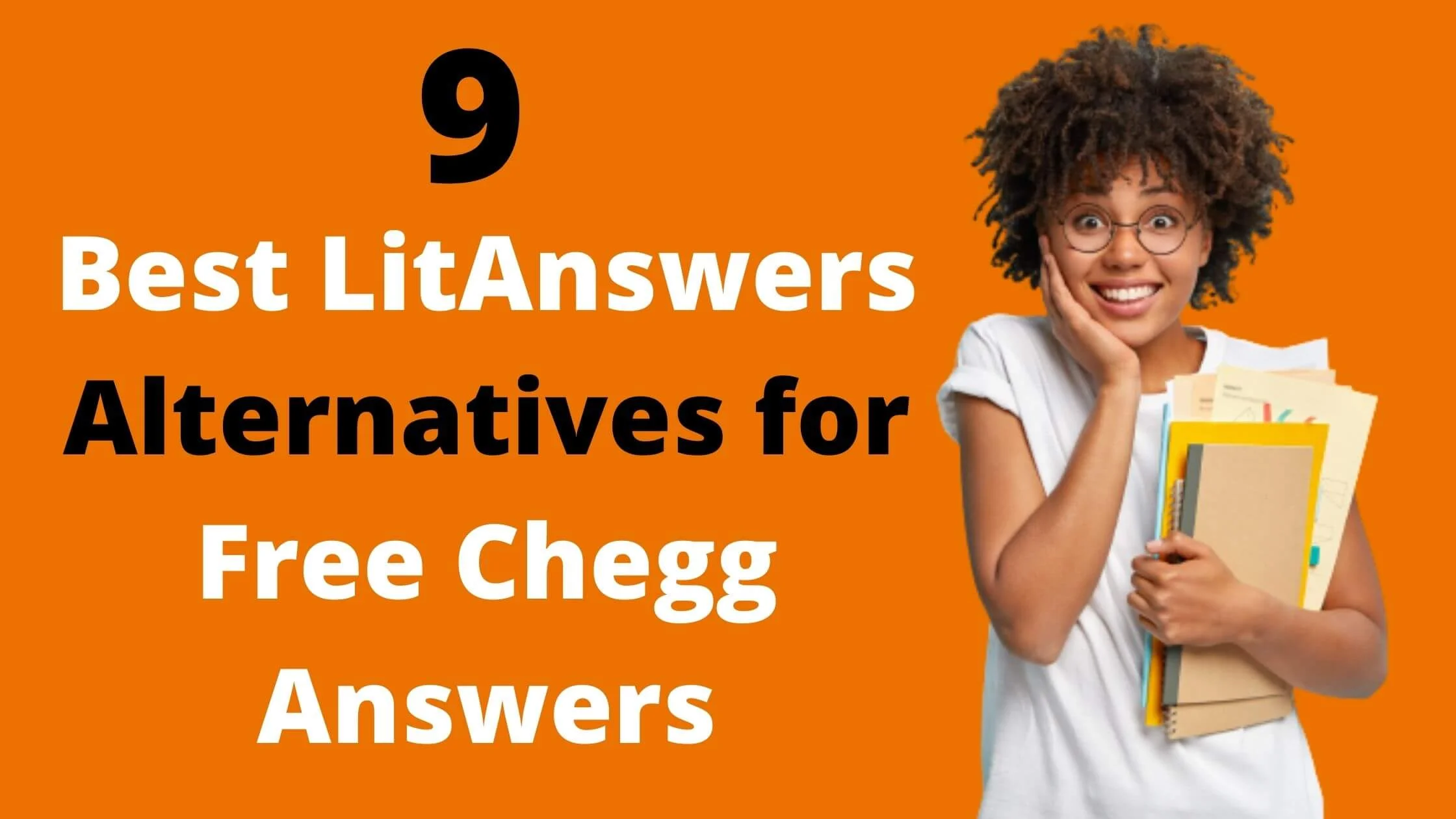 LitAnswers Alternatives