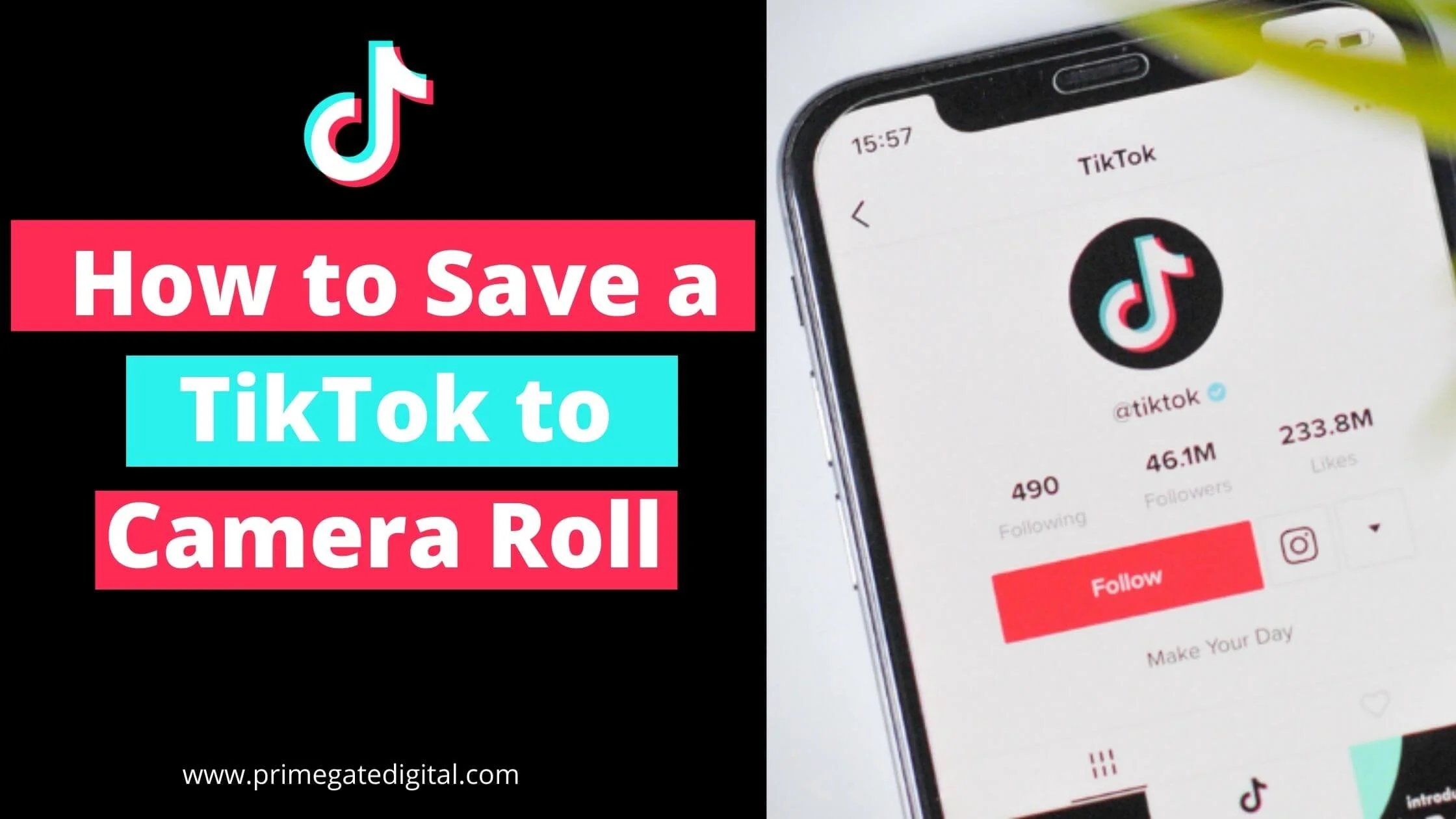 Save a TikTok to Camera Roll