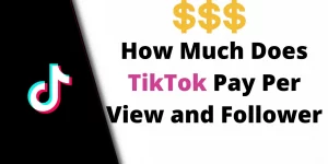 How Much Does TikTok Pay Per View and Follower 2022