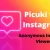 Picuki for Instagram: Anonymous Instagram Viewer