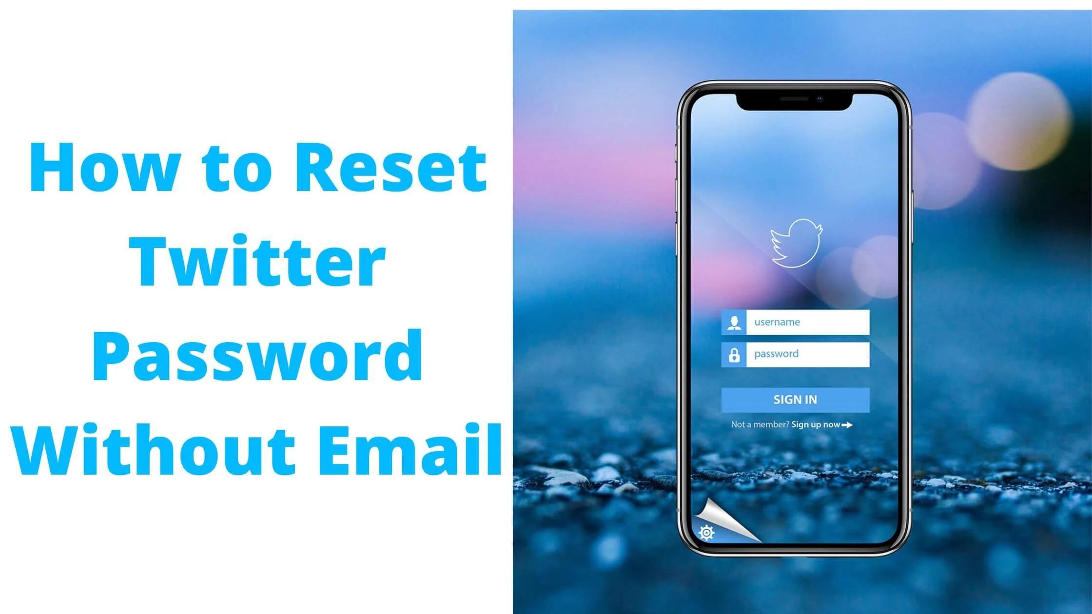 Reset Twitter Password Without Email