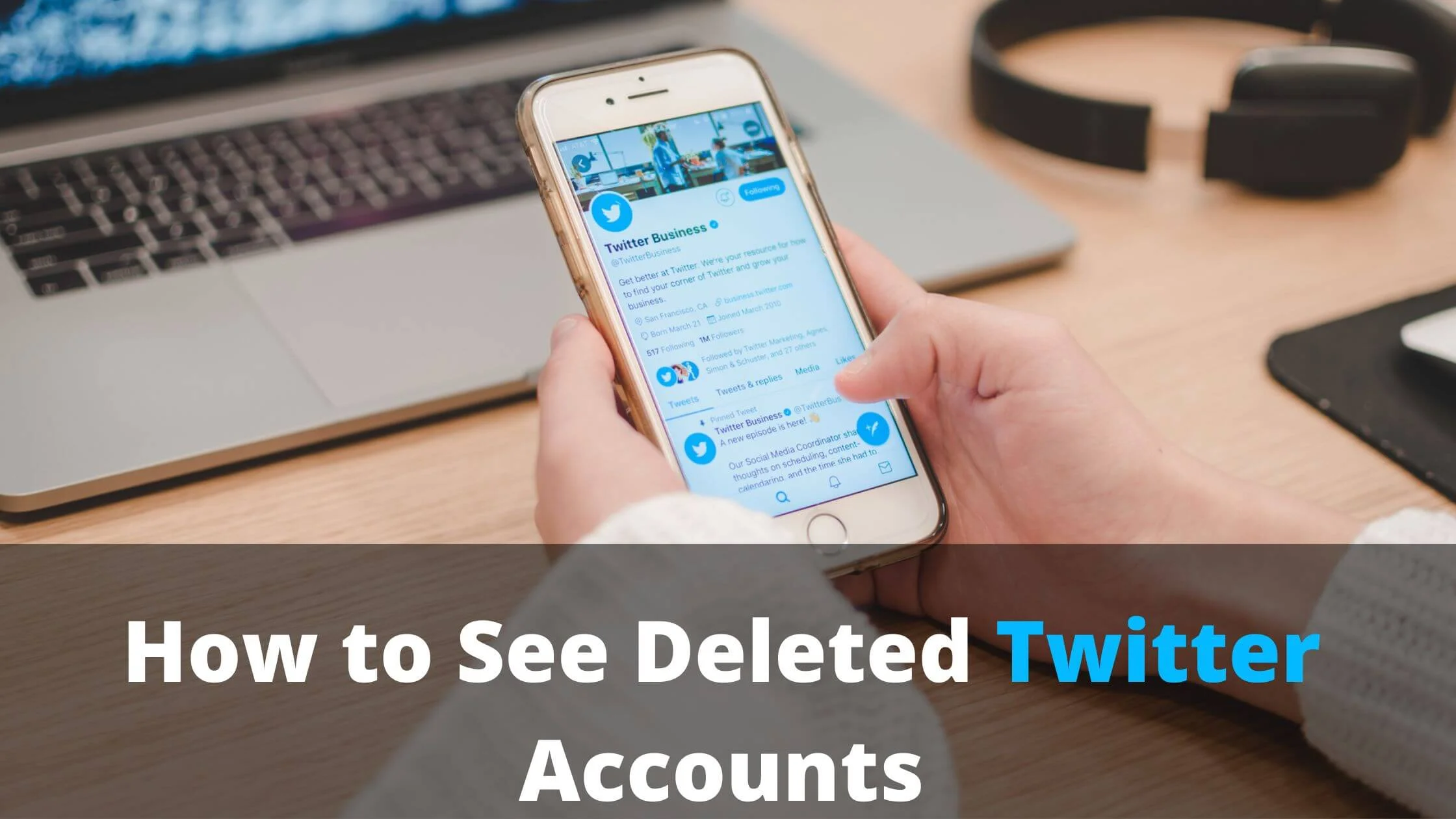 See Deleted Twitter Accounts