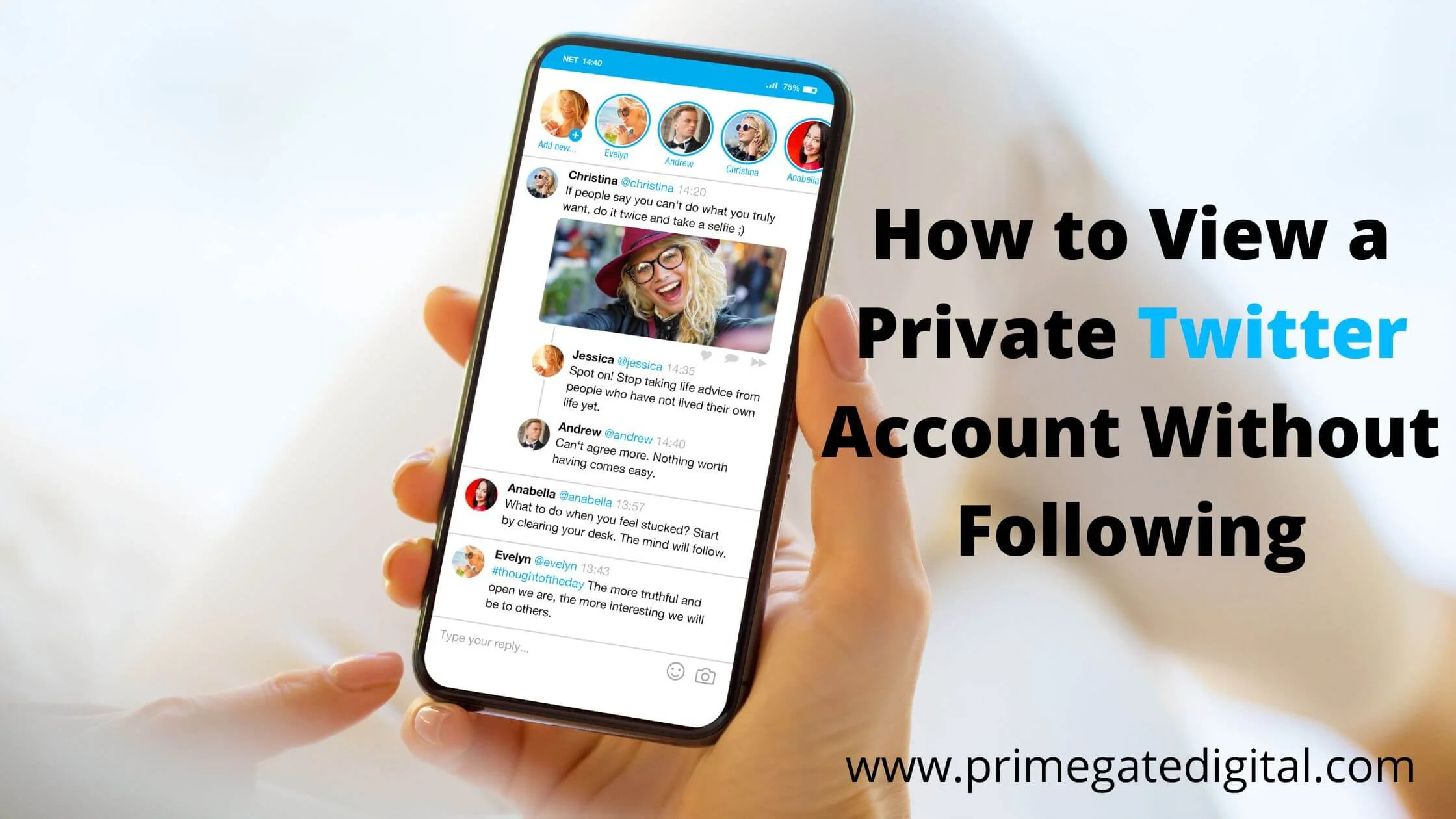 View a Private Twitter Account