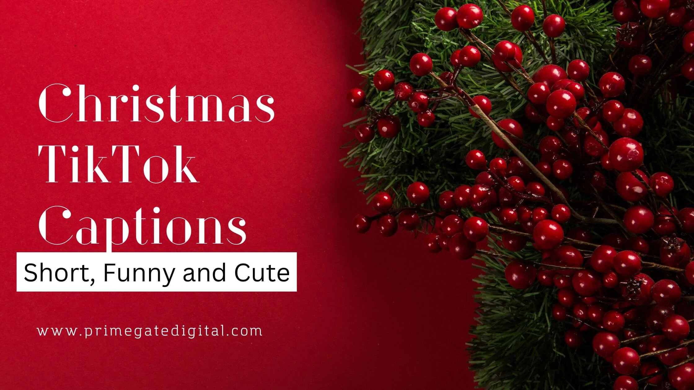 100+ Best Christmas TikTok Captions 2023 [Short, Fun & Cute]