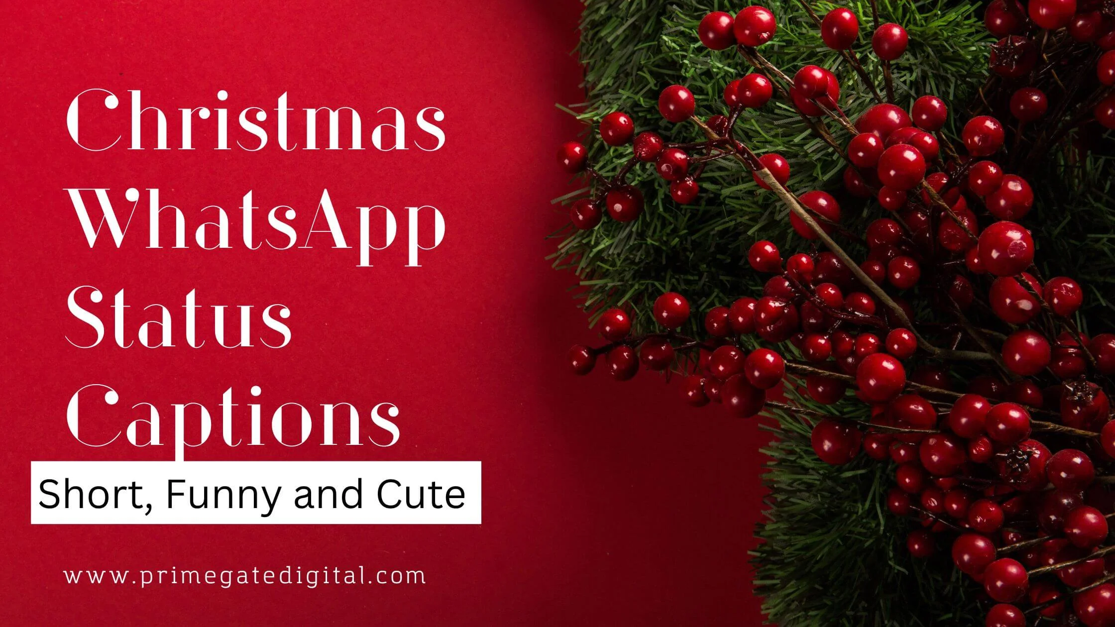 100+ New Christmas WhatsApp Status Captions 2024