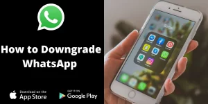 How to Downgrade WhatsApp on iPhone & Android