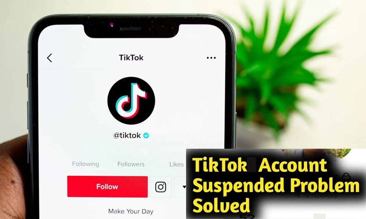Suspended TikTok Account