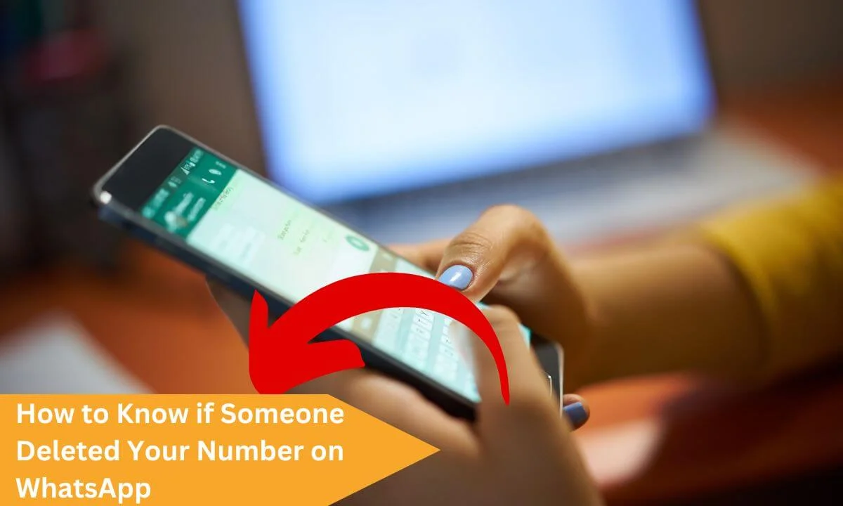 Know if Someone Deleted Your Number on Whatsapp