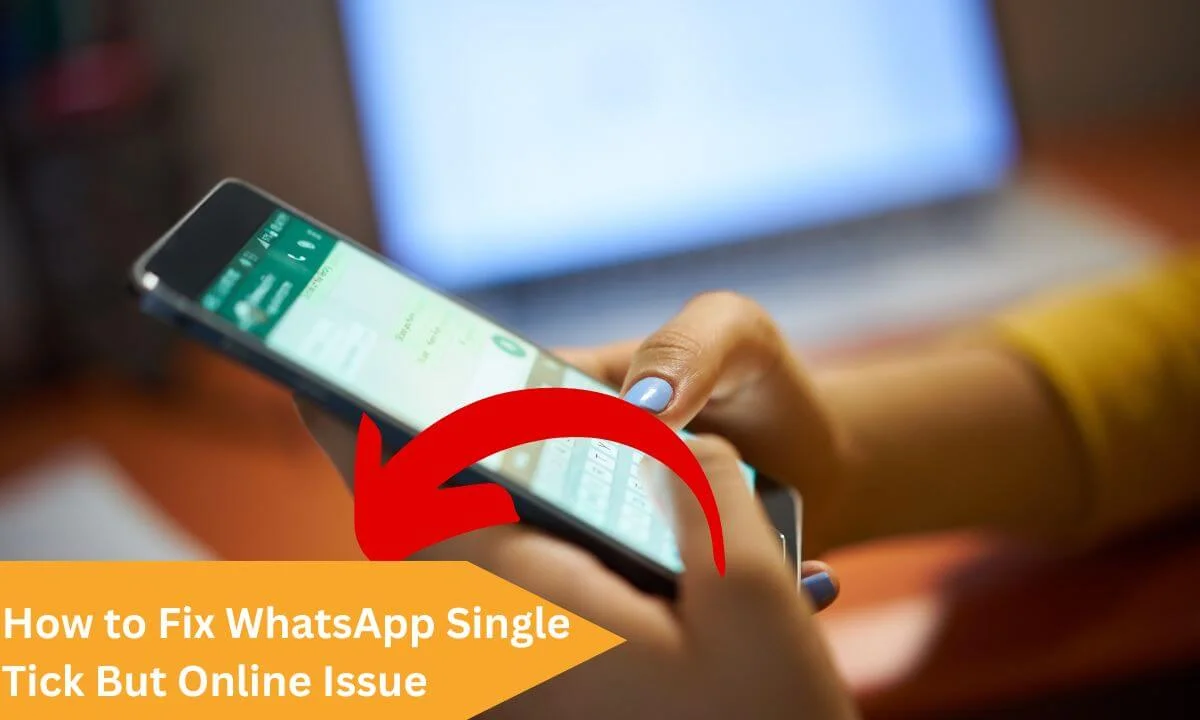 WhatsApp Single Tick But Online