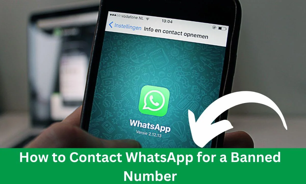 How to Contact WhatsApp