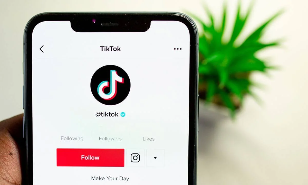 If You Delete TikTok Will it Delete Your Drafts