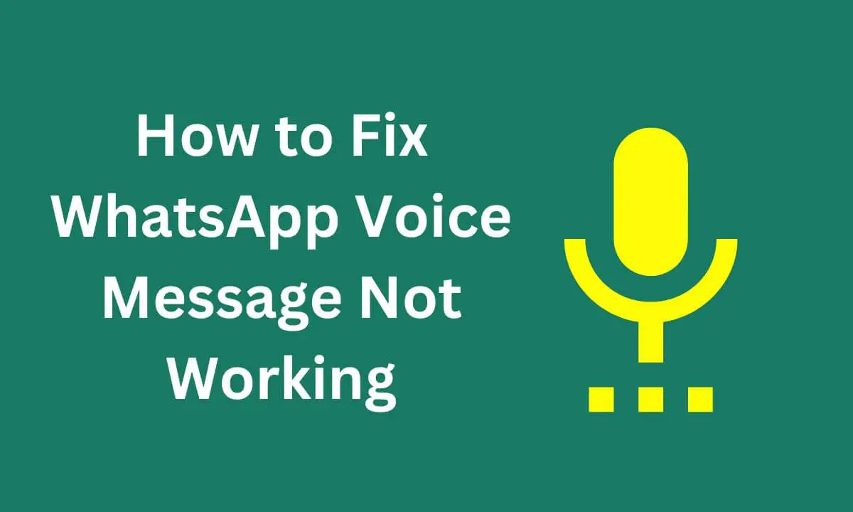 WhatsApp Voice Message Not Working