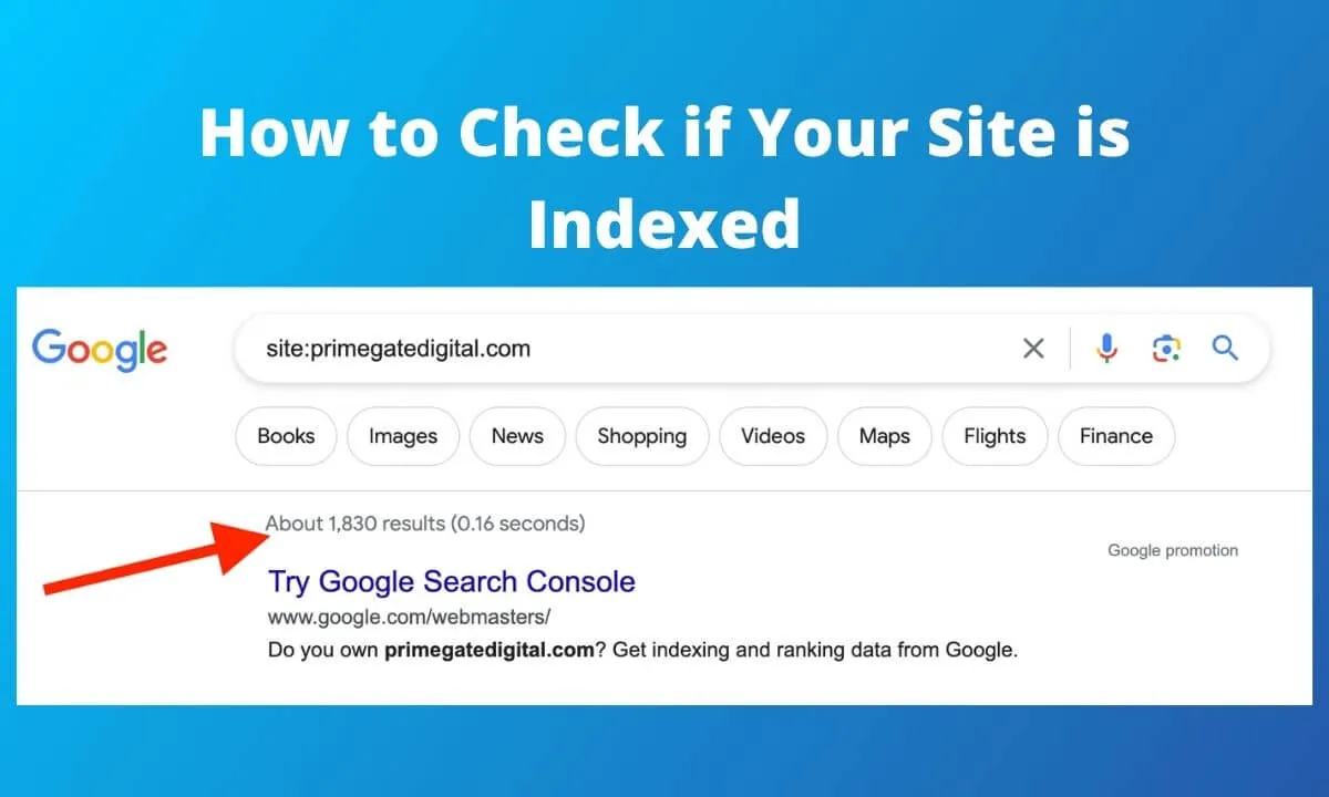 How to Check if Your Site is Indexed
