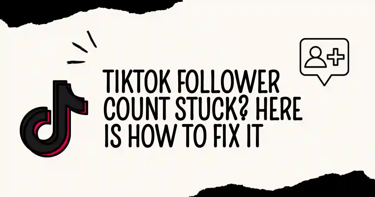 TikTok Follower Count Stuck